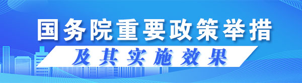 重要政策舉措及實施效果